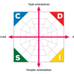 Extended DISC Diamond Identifying styles