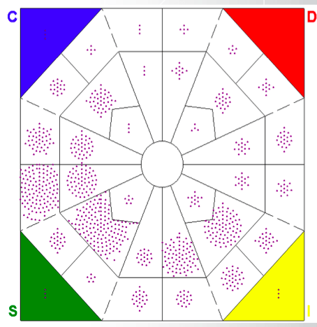 DISC Profiles at the Organizational Level